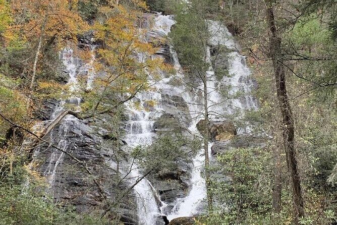 Private North Georgia Waterfall Tour and Scenic Hikes - Final Thoughts: Is This Tour for You?