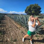 Private Oaxaca: Artisanal Mezcal, Alebrijes, and Textiles - In-Depth Itinerary Breakdown