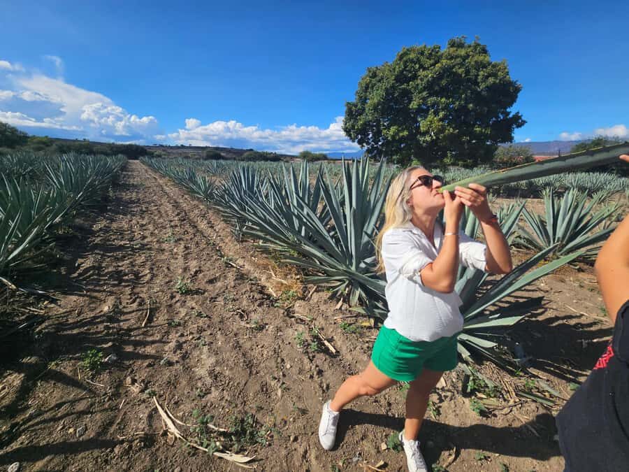 Private Oaxaca: Artisanal Mezcal, Alebrijes, and Textiles - In-Depth Itinerary Breakdown