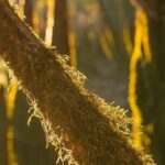 Private Panama City Beach Photo Excursion - Who Will Love This Tour?