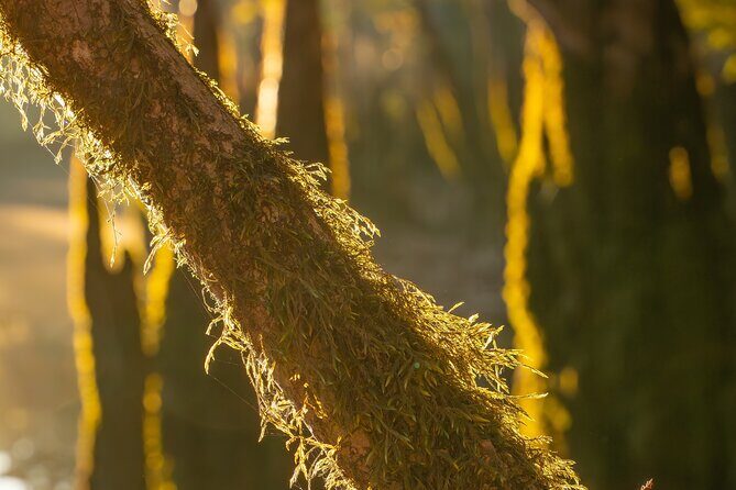 Private Panama City Beach Photo Excursion - Who Will Love This Tour?