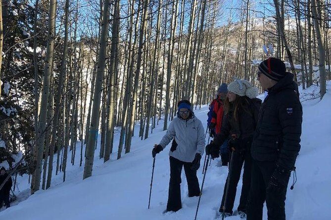 Private Park City Snowshoe Excursions (9:30am/12:30pm start time) - Exploring the Snowy Wilderness of Park City