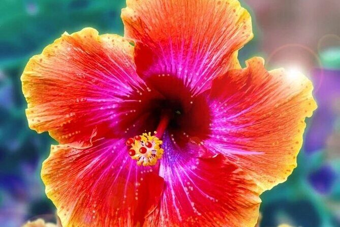 Private Picnic Activity in The Ulua Lagoon in Oahu - Why Choose a Luxury Picnic in Oahu?