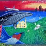 Private San Jose del Cabo Treasure Hunt - Practical Tips for Your Treasure Hunt