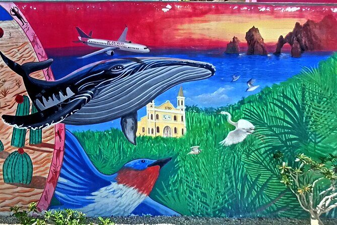 Private San Jose del Cabo Treasure Hunt - Practical Tips for Your Treasure Hunt