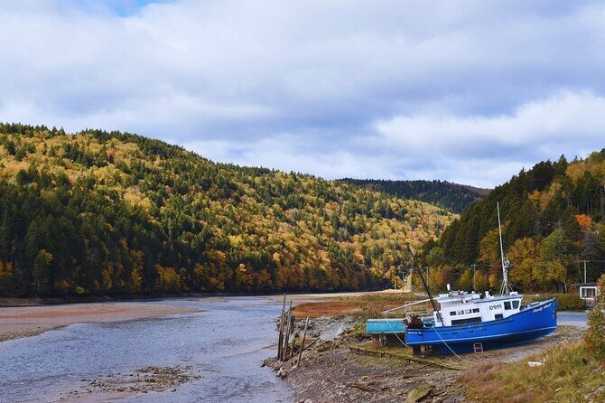 Private Shore Excursion - Analyzing Value and Practical Considerations