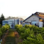 Private Sidecar Winery Tour through San Luis Obispo - Authentic Experience and Authentic Value