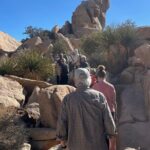 Private Sightseeing Adventure Tour of Joshua Tree National Park - The Value of a Private Guided Tour