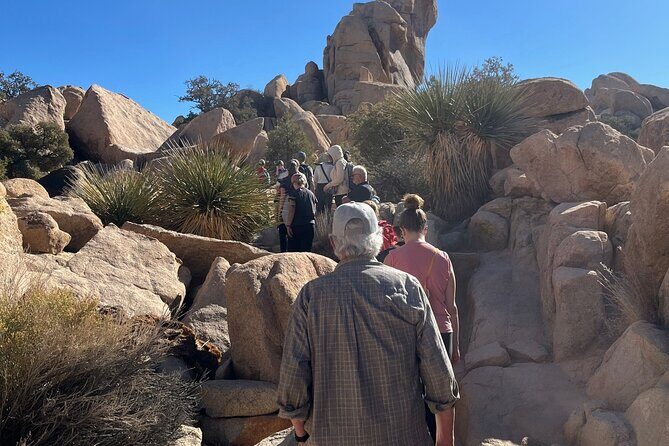 Private Sightseeing Adventure Tour of Joshua Tree National Park - The Value of a Private Guided Tour