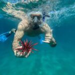 Private Snorkel Photos Included - FAQ