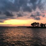 Private Sunset and Fireworks Dolphin Tour (6 people max) - Final Thoughts