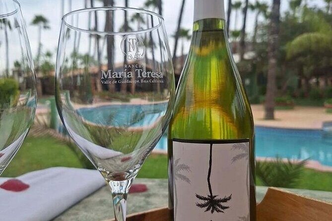 Private Therapeutic Massage Experience in Valle de Guadalupe - An In-Depth Look at the Experience