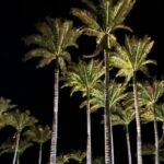 Private Tour Around the Island of Hawaii - Overall Value and Experience