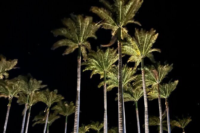 Private Tour Around the Island of Hawaii - Overall Value and Experience