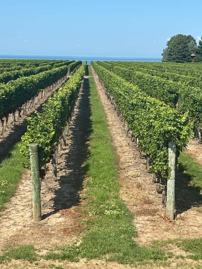 Private Tour: Hidden Gems Wine Tour of Niagara-on-the-Lake - Who This Tour Suits Best