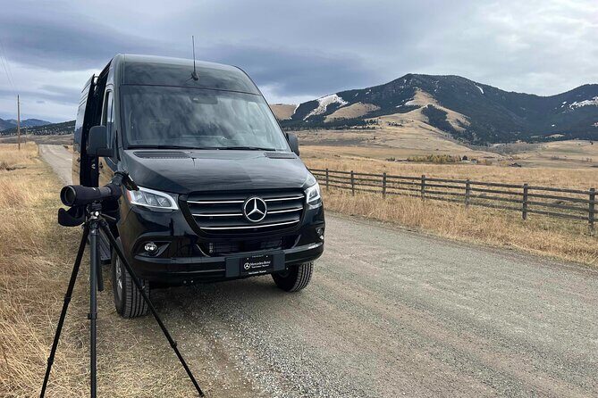 Private Tour of Yellowstones Natural Wonders from Jackson Hole - Who Will Love This Yellowstone Private Tour?