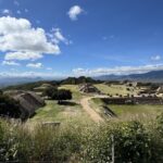 Private tour to Monte Alban and alebrijes and black mud and textiles - Practical Details and Tips