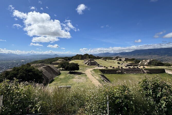 Private tour to Monte Alban and alebrijes and black mud and textiles - Practical Details and Tips