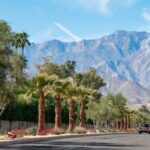 Private tour to Palm Springs from Los Angeles - Detailed Review: A Day in Palm Springs with a Personal Touch