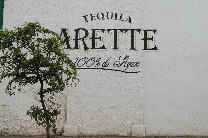Private Tour to Tequila with Tequila Arette Tasting - A Detailed Look at the Tour Experience