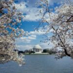 PRIVATE TOUR Washington DC: Private Tour with Luxury SUV - Final Thoughts