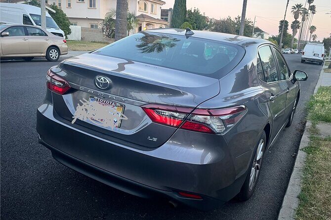 Private Transfer Anaheim Resort From or To Los Angeles - Vehicle Options and Capacity