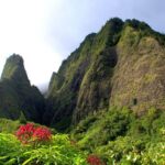 Private Tropics of Maui & Rainforest Valley: Kahului, Wailea, Kihei pick up - Discover Maui’s Natural and Cultural Gems in Comfort and Style