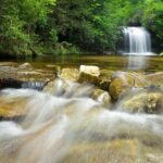 Private Waterfall and Blue Ridge Parkway Tour with a Naturalist - Authentic Insights from Travelers