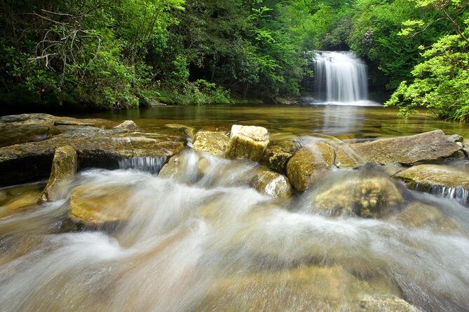 Private Waterfall and Blue Ridge Parkway Tour with a Naturalist - Authentic Insights from Travelers