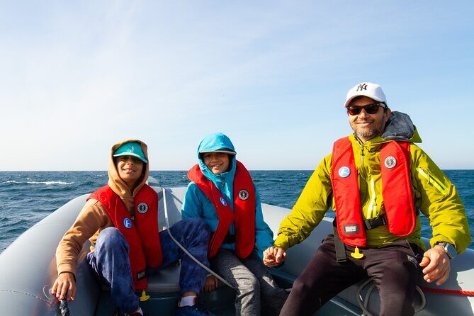 Private Whale Watching in San Diego on a Premium Zodiac - Exploring the Experience: An In-Depth Look
