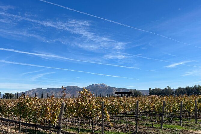 Private Wine and Food Tour in Valle de Guadalupe - FAQ