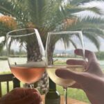 Private Wine Tour of San Miguel de Allende Tastings and Lunch - FAQ