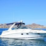 Private Yacht Charter in Cabo San Lucas - Itinerary Breakdown and Highlights