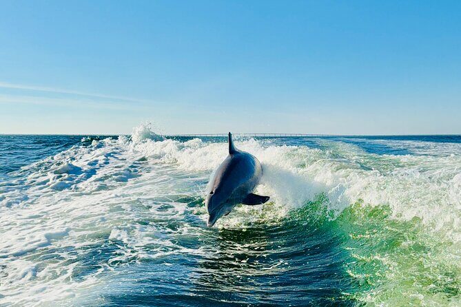 Private Yacht Charter on The Whiskey from Sandestin - The Sum Up