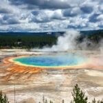 Private Yellowstone Highlights Tour - Wildlife Spotlight and Scenic Stops