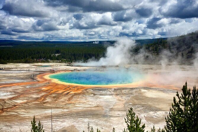 Private Yellowstone Highlights Tour - Wildlife Spotlight and Scenic Stops