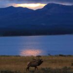 Privately Guided Safari at Sunset from West Yellowstone - Who Should Consider This Tour?