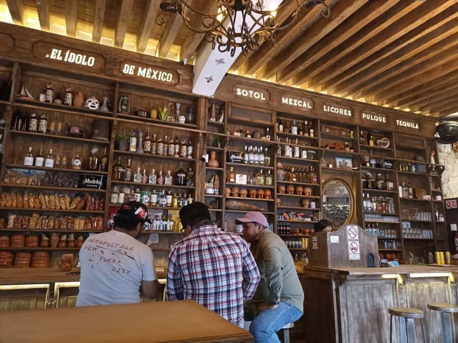 Puebla: The One and Only Pub Crawl in Puebla! - Who Should Consider This Pub Crawl?