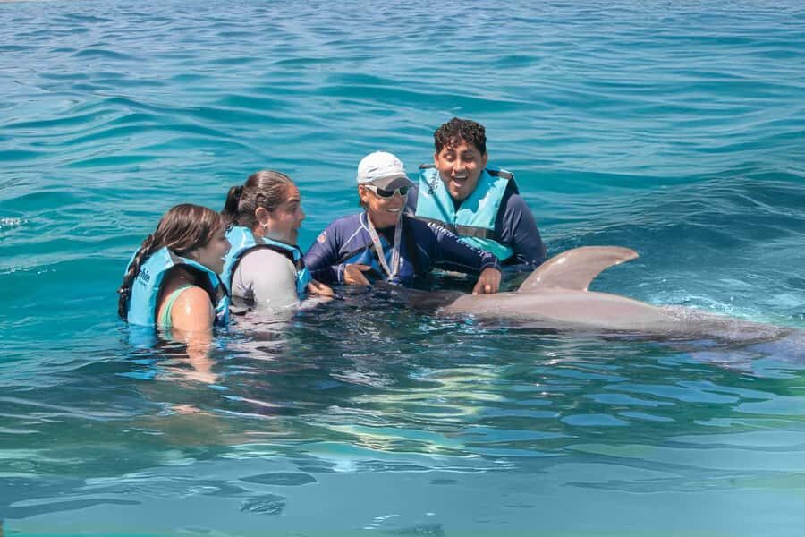 Puerto Aventuras: Dolphin Connection & Manatee Interaction - Why This Tour Works Well