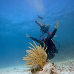 Puerto Morelos: 2-Tank Dive in a Protected Marine Park - What Makes This Tour Stand Out?