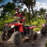 Puerto Morelos: Selvatica Park All-Inclusive Adventure Pass - An In-Depth Look at the Puerto Morelos Selvatica Adventure