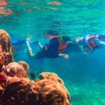 Puerto Morelos Snorkeling: Discover Vibrant Underwater Life - Final Thoughts: Who Should Consider This Tour?