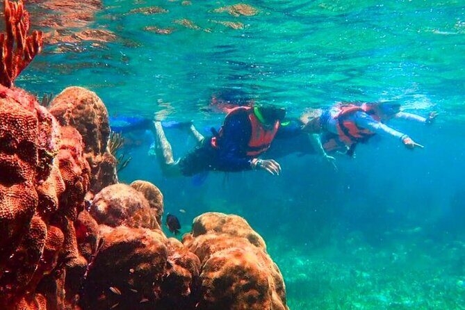 Puerto Morelos Snorkeling: Discover Vibrant Underwater Life - Final Thoughts: Who Should Consider This Tour?