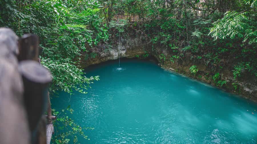 Puerto Morelos: Tour of two cenotes with lunch included. - Final Thoughts: Why Choose This Tour?