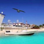 Puerto Morelos Two Reefs Snorkeling Tour - The Sum Up