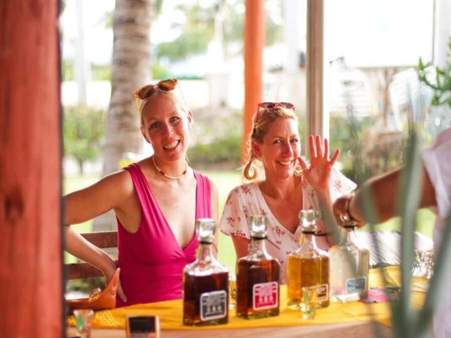 Puerto Vallarta: Agave Spirits Tasting and Food Pairing - Who Should Book This Tour?