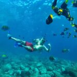 Puerto Vallarta: Boat Tour with Beach Stops & Horseback Ride - Who Should Consider This Tour?