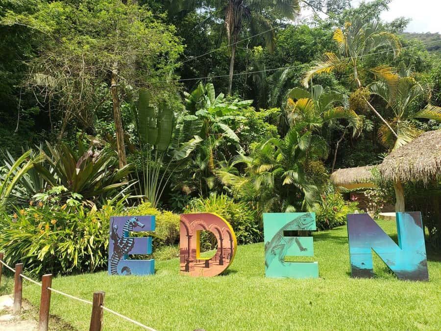 Puerto Vallarta: City & Jungle Tour - A Complete Look at the Puerto Vallarta: City & Jungle Tour