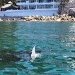 Puerto Vallarta City Tour By The Sea aboard Bruna - What Makes This Tour Stand Out?
