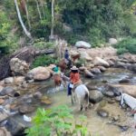 Puerto Vallarta: El Eden Horseback Riding - Who Will Love This Tour?